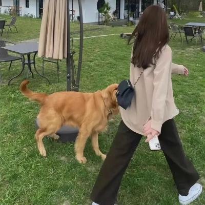粘合平行线